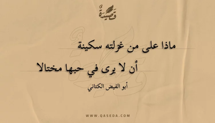 قصيدة ماذا على من غزلته سكينة