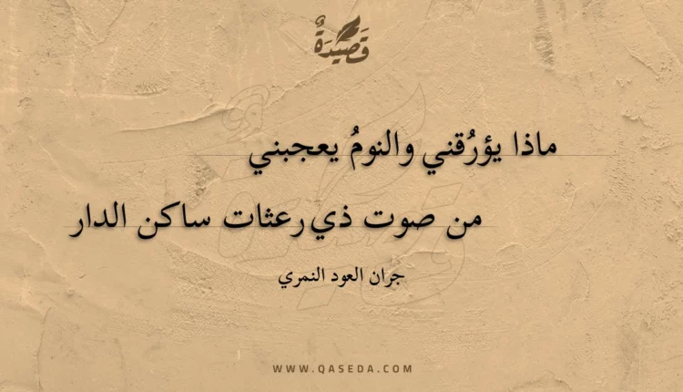 قصيدة ماذا يؤرقني والنوم يعجبني