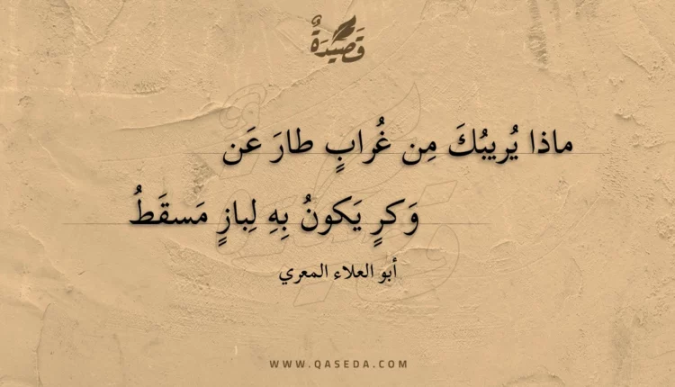 قصيدة ماذا يريبك من غراب طار عن
