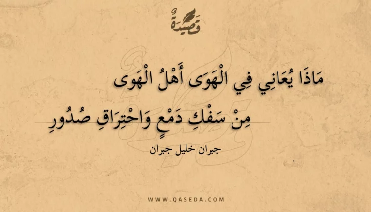 قصيدة ماذا يعاني في الهوى أهل الهوى