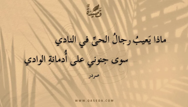 قصيدة ماذا يعيب رجال الحى في النادي