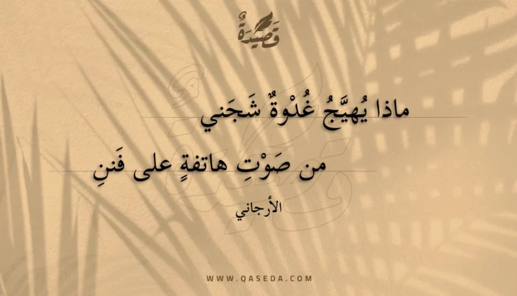 قصيدة ماذا يهيج غدوة شجني
