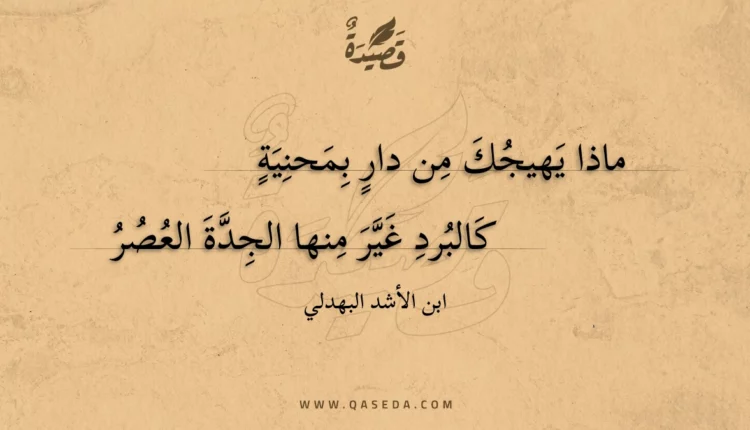 قصيدة ماذا يهيجك من دار بمحنية