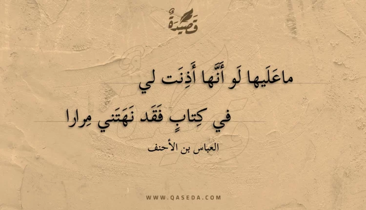 قصيدة ماعليها لو أنها أذنت لي