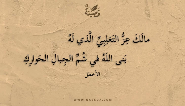 قصيدة مالك عز التغلبي الذي له