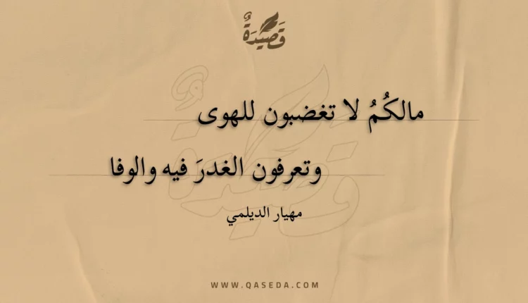 قصيدة مالكم لا تغضبون للهوى