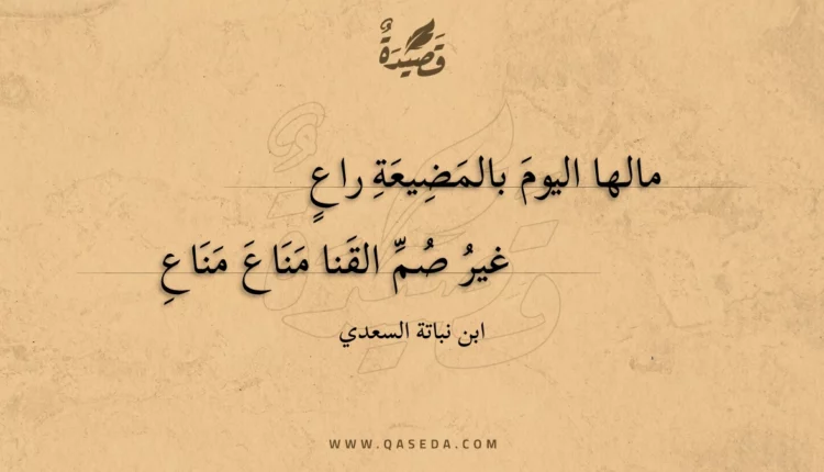 قصيدة مالها اليوم بالمضيعة راع