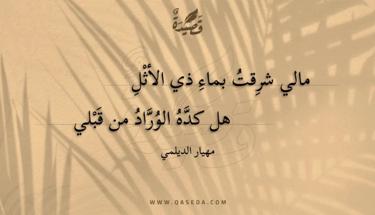 قصيدة مالي شرقت بماء ذي الأثل