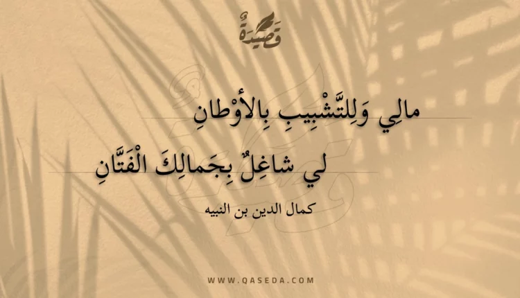 قصيدة مالي وللتشبيب بالأوطان