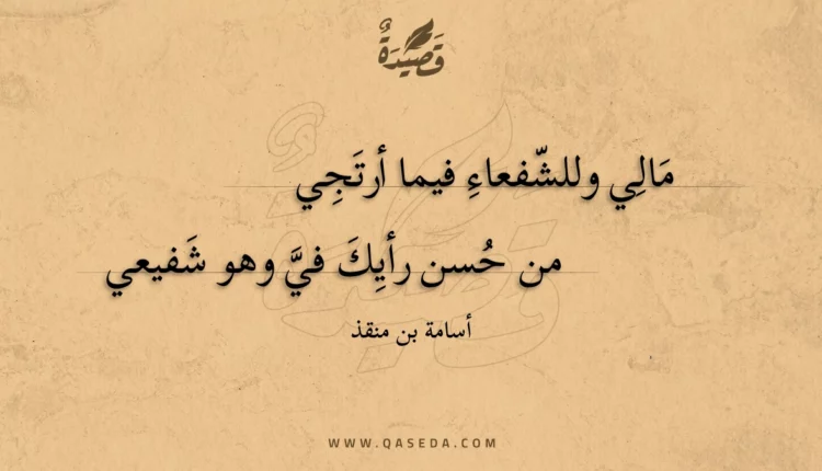 قصيدة مالي وللشفعاء فيما أرتجي