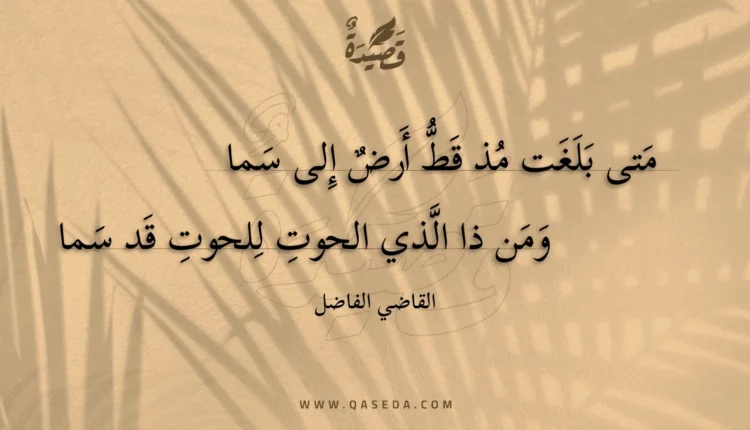 قصيدة متى بلغت مذ قط أرض إلى سما