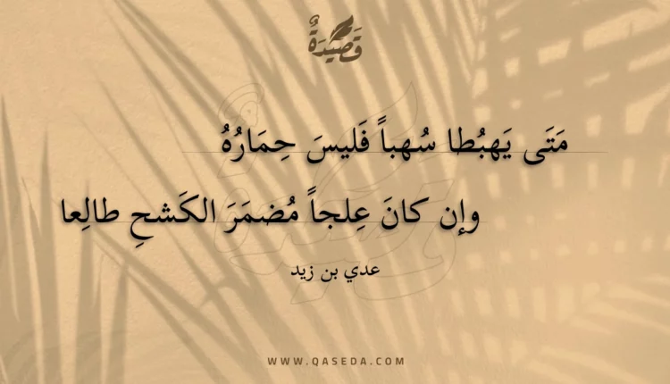 قصيدة متى يهبطا سهبا فليس حماره