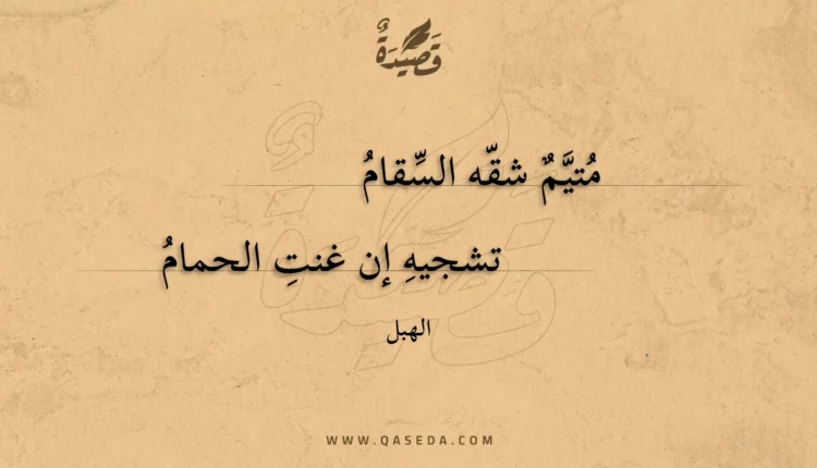 قصيدة متيم شقه السقام