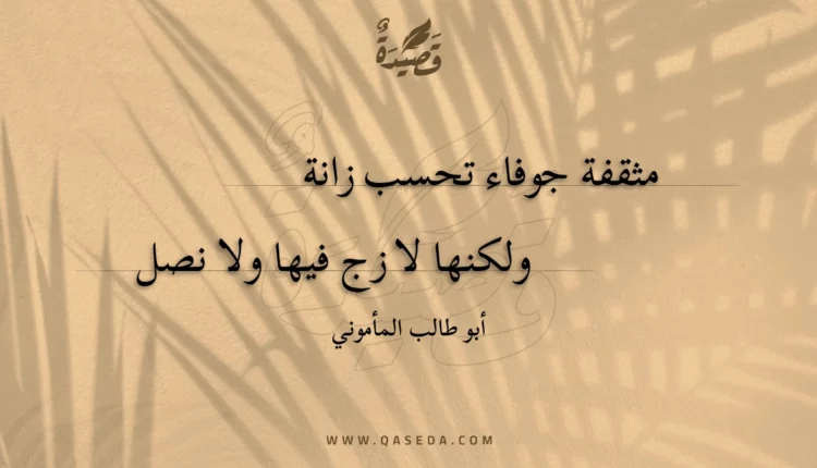 قصيدة مثقفة جوفاء تحسب زانة