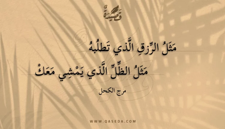 قصيدة مثل الرزق الذي تطلبه