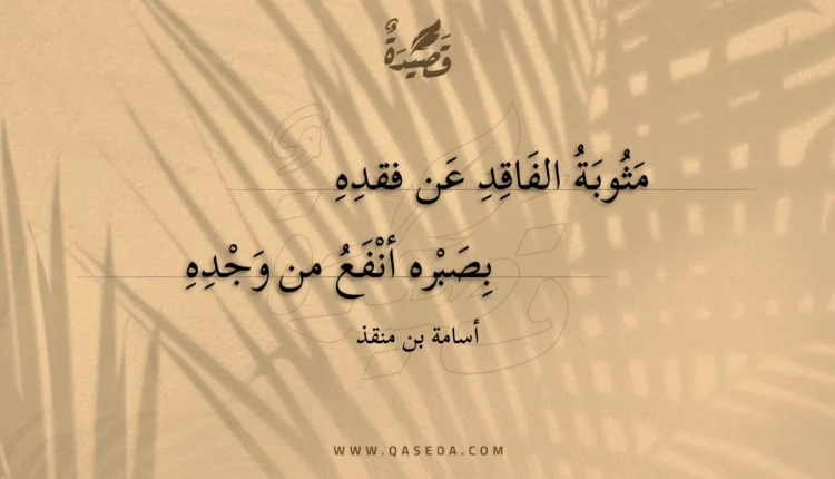 قصيدة مثوبة الفاقد عن فقده