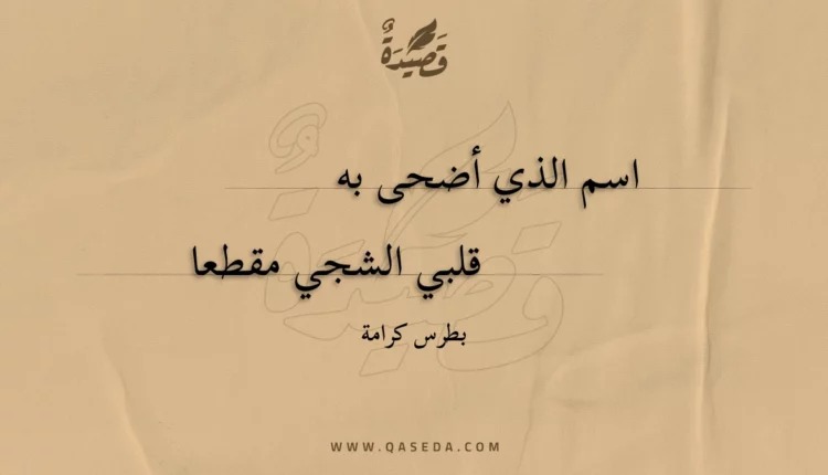 قصيدة مجزوء الكامل