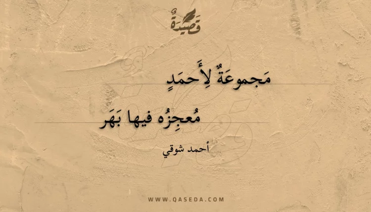 قصيدة مجموعة لأحمد