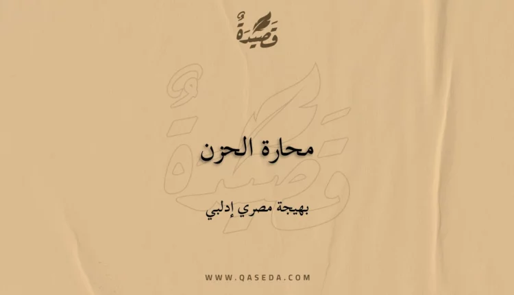 قصيدة محارة الحزن