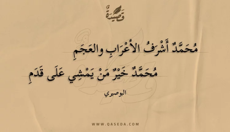 قصيدة محمد أشرف الأعراب والعجم