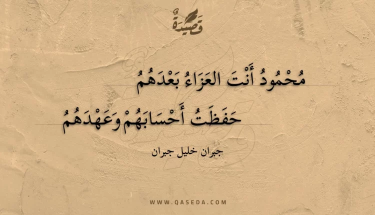 قصيدة محمود أنت العزاء بعدهم