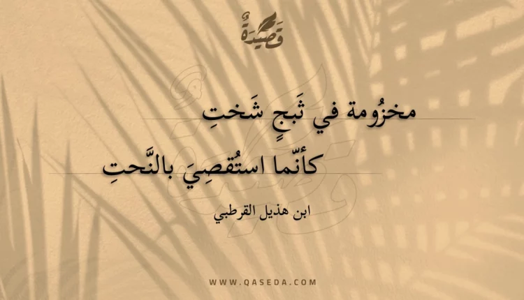 قصيدة مخزومة في ثبج شخت