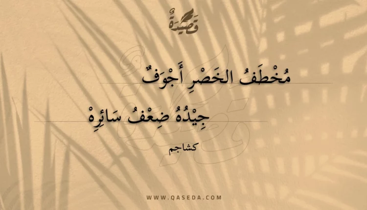 قصيدة مخطف الخصر أجوف
