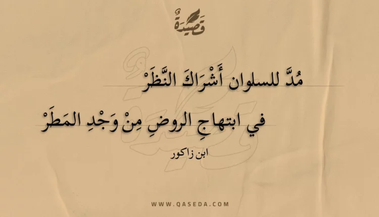 قصيدة مد للسلوان أشراك النظر