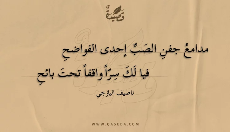 قصيدة مدامع جفن الصب إحدى الفواضح