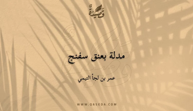 قصيدة مدلة بعنق سفنج