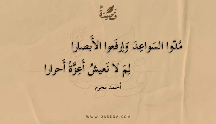 قصيدة مدوا السواعد وارفعوا الأبصارا