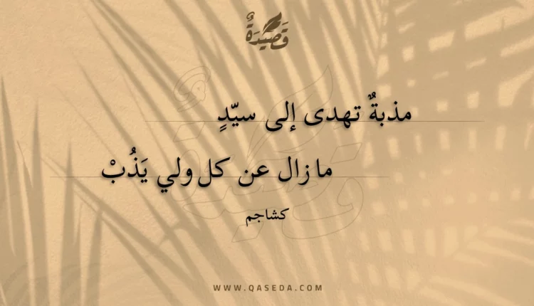 قصيدة مذبة تهدى إلى سيد