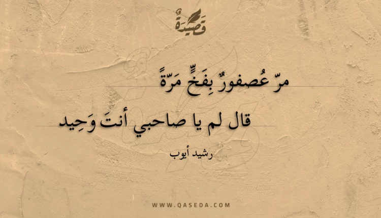 قصيدة مر عصفور بفخ مرة