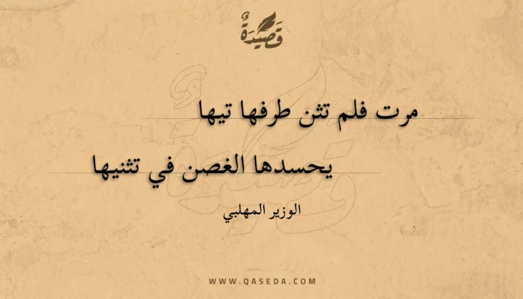 قصيدة مرت فلم تثن طرفها تيها
