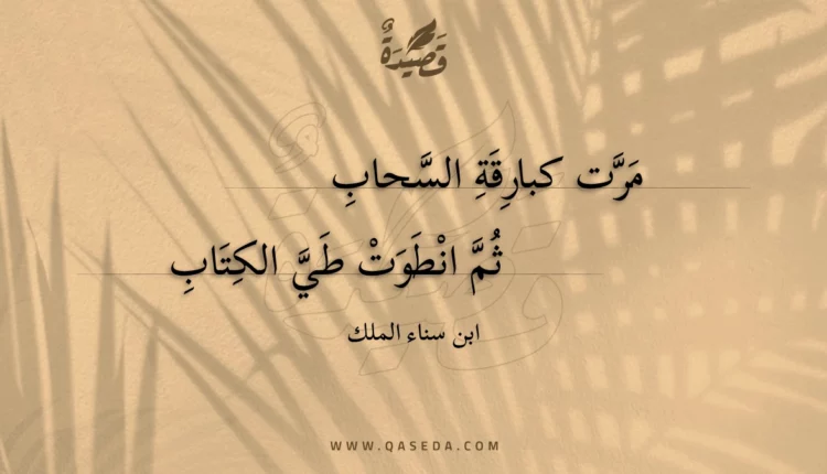 قصيدة مرت كبارقة السحاب