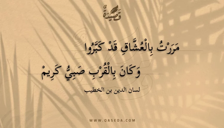 قصيدة مررت بالعشاق قد كبروا