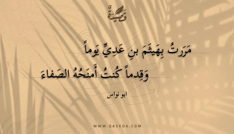 قصيدة مررت بهيثم بن عدي يوما