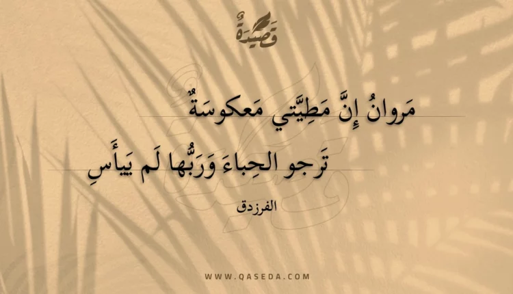 قصيدة مروان إن مطيتي معكوسة