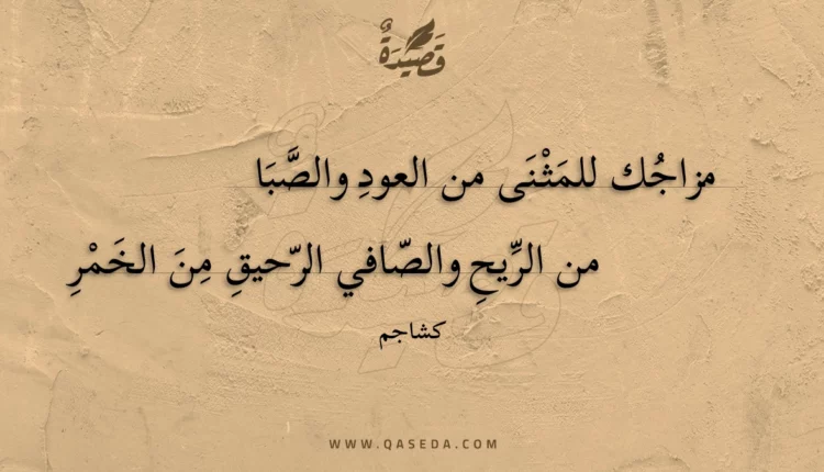 قصيدة مزاجك للمثنى من العود والصبا