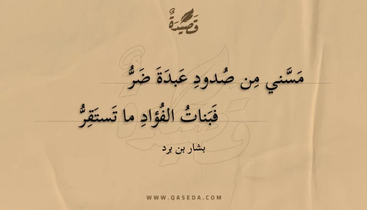 قصيدة مسني من صدود عبدة ضر