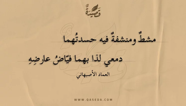 قصيدة مشط ومنشفة فيه حسدتهما