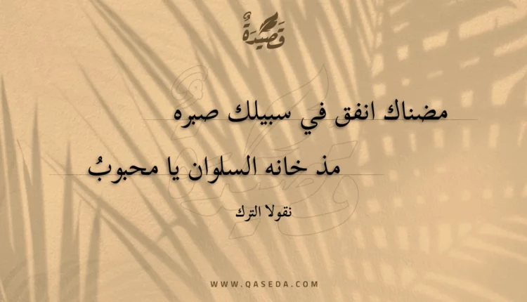 قصيدة مضناك انفق في سبيلك صبره