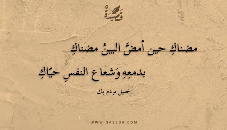 قصيدة مضناك حين أمض البين مضناك