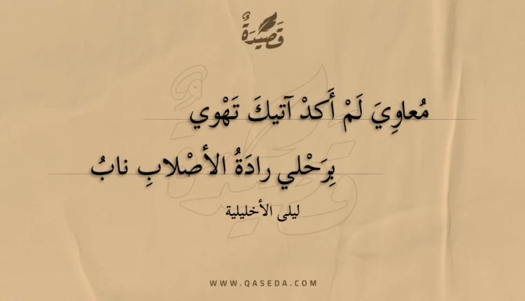 قصيدة معاوي لم أكد آتيك تهوي