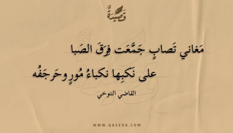 قصيدة مغاني تصاب جمعت فرق الصبا