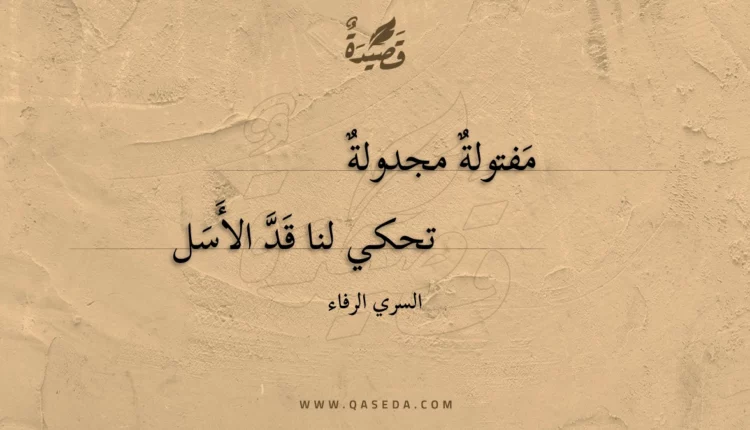 قصيدة مفتولة مجدولة