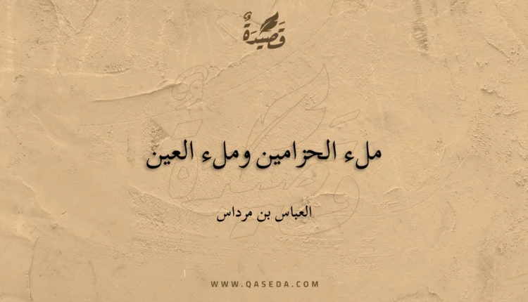 قصيدة ملء الحزامين وملء العين