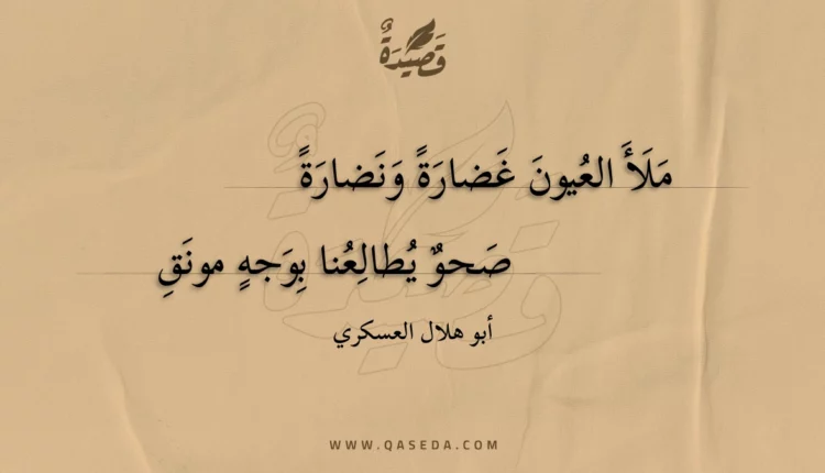 قصيدة ملأ العيون غضارة ونضارة
