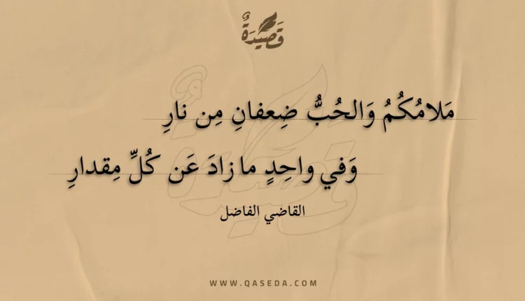 قصيدة ملامكم والحب ضعفان من نار