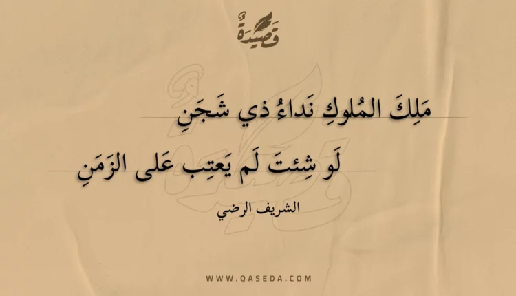 قصيدة ملك الملوك نداء ذي شجن